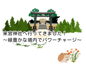 来宮神社へ行ってきました！～緑豊かな境内でパワーチャージ～