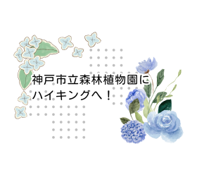 【アジサイ】神戸市立森林植物園にハイキングへ！｜色鮮やかなアジサイの名所