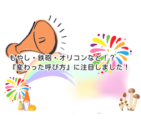 もやし・鉄砲・オリコンなど！？物流現場で登場する『変わった呼び方』に注目しました！